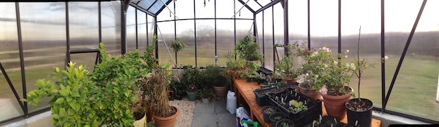Greenhouse panorama