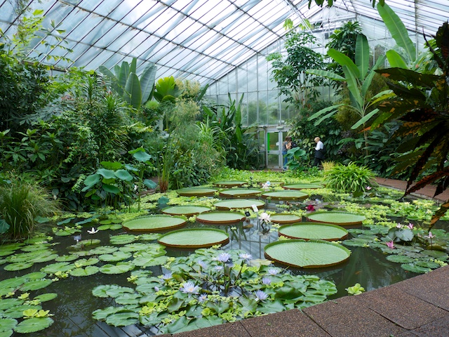 Example of one of glasshouses